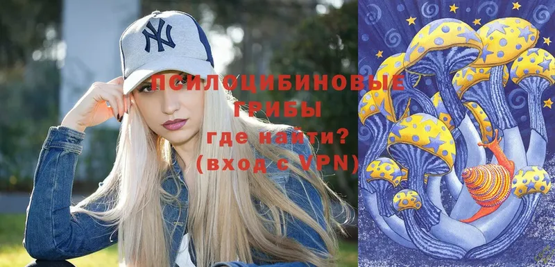 KRAKEN сайт  Курлово  Псилоцибиновые грибы Psilocybine cubensis 